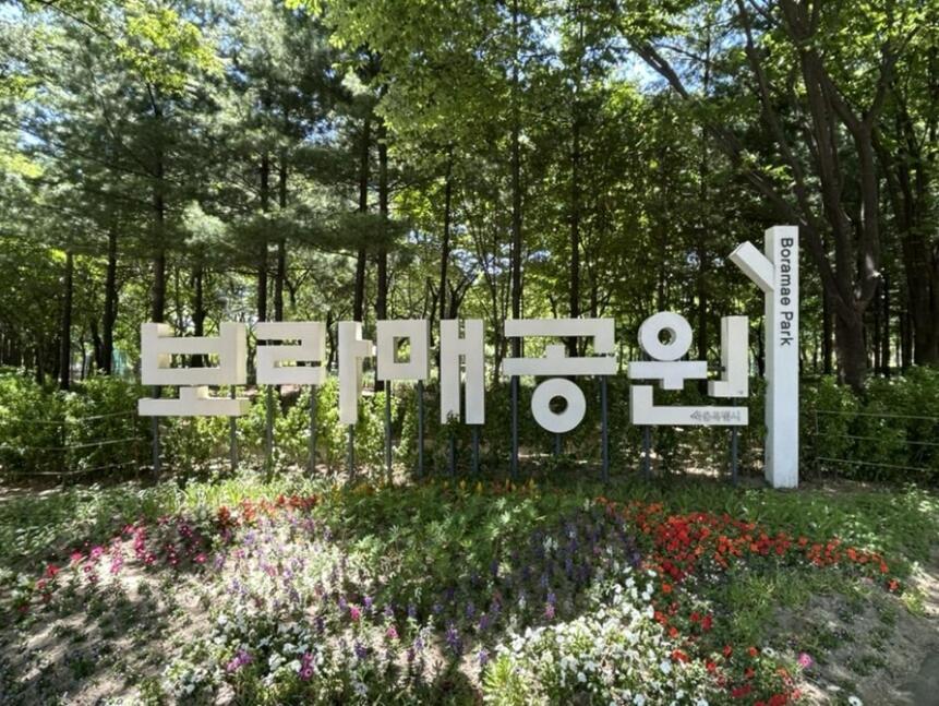 Bora J House Apartment *